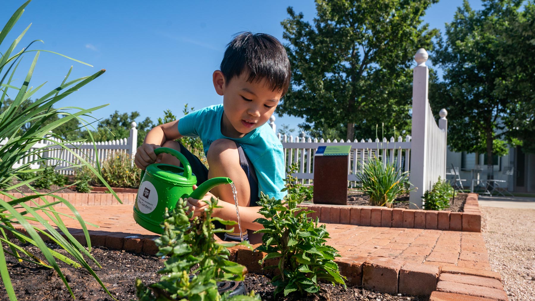 A child waters plants in the Leach Teaching Gardens